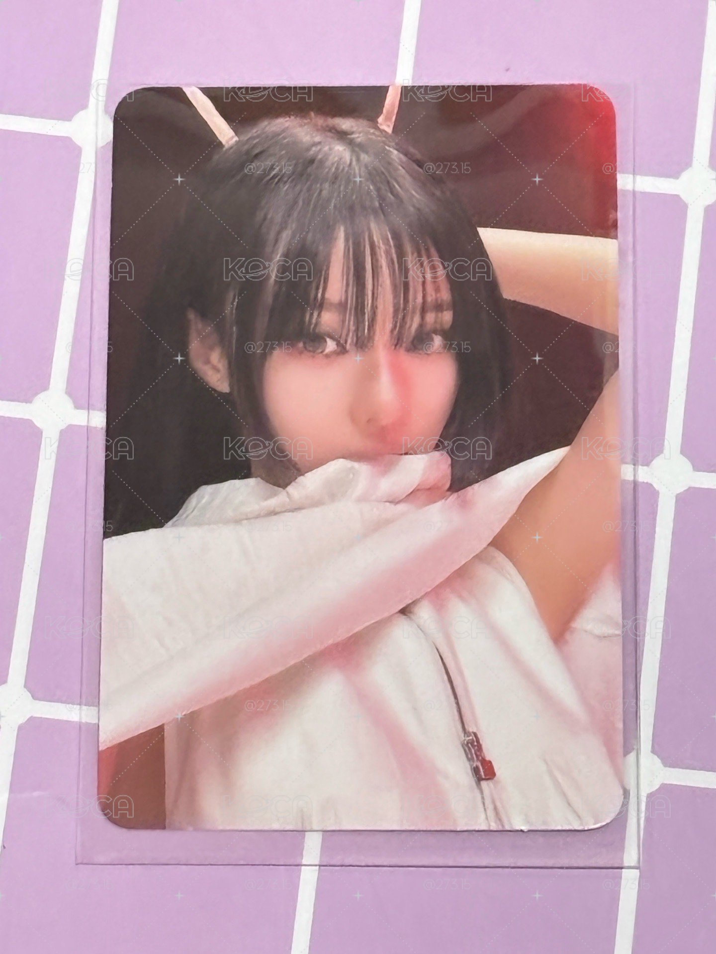 LEMONADE 快閃 WDA ver. 隨機卡 自拍冬