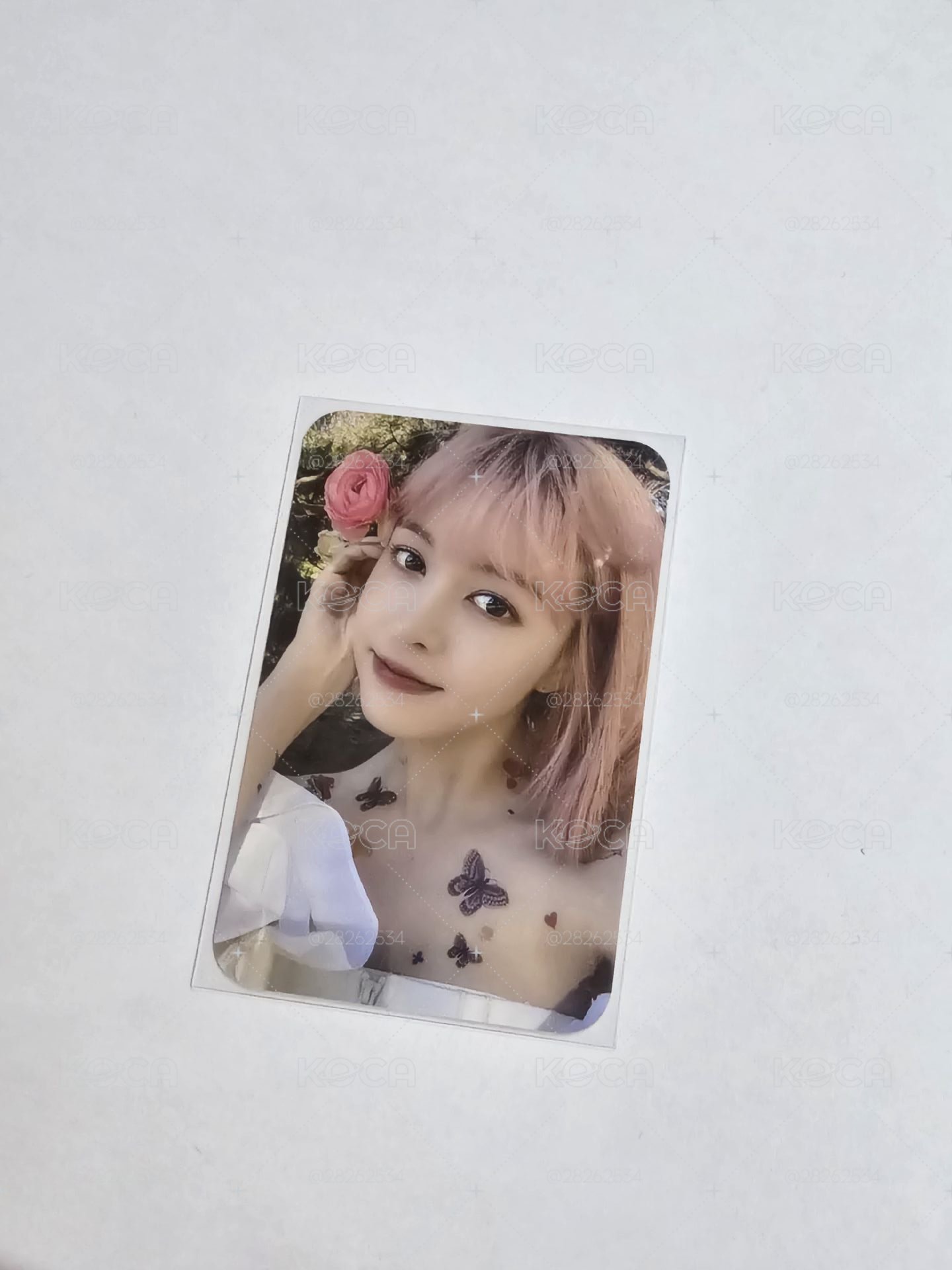 sw 預售 莉