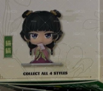 試毒貓貓
