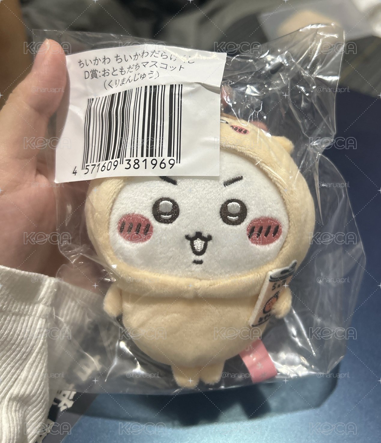 D賞 栗子吉