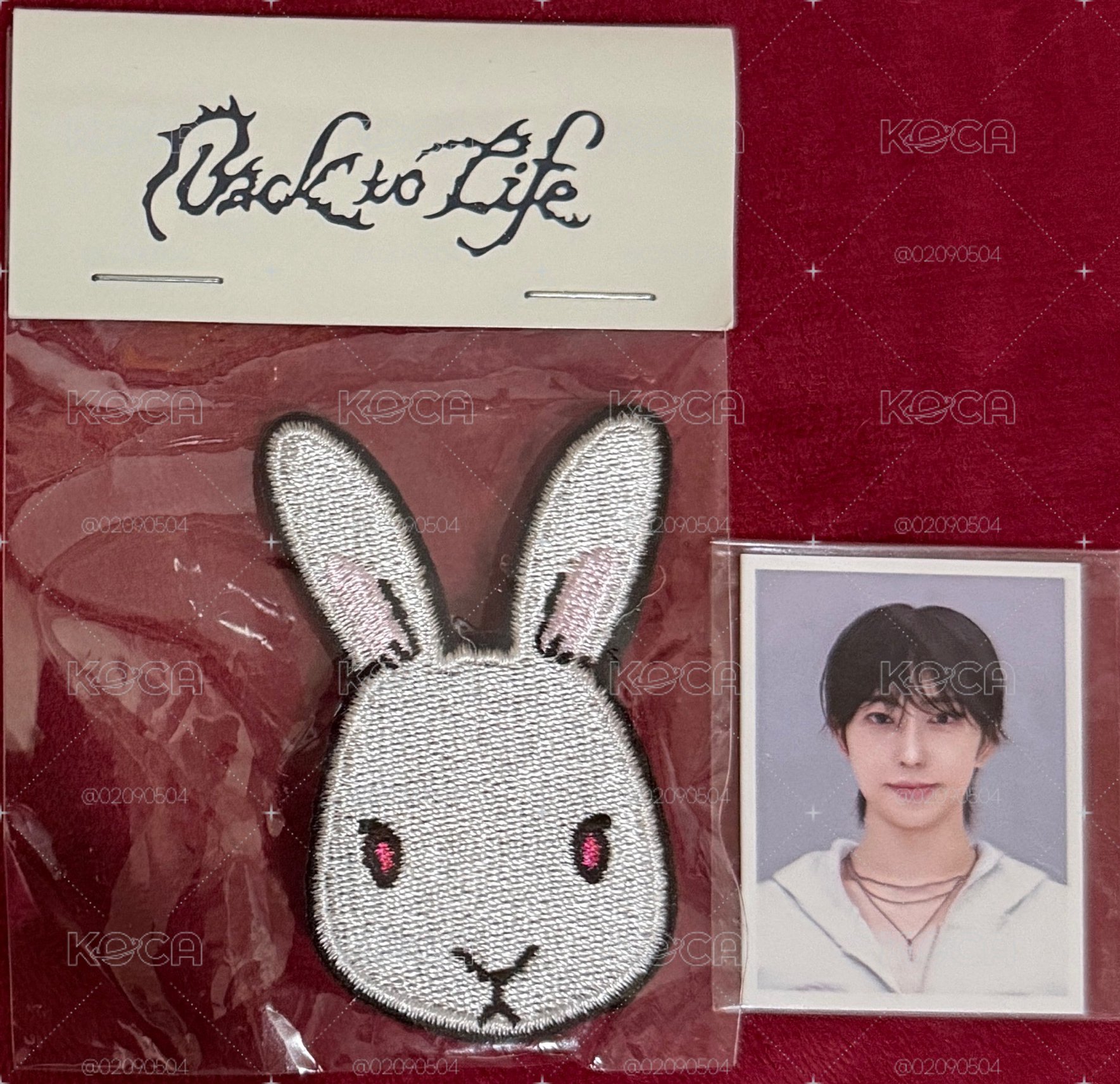 BTL 逆應援 FUMA 證件照、徽章