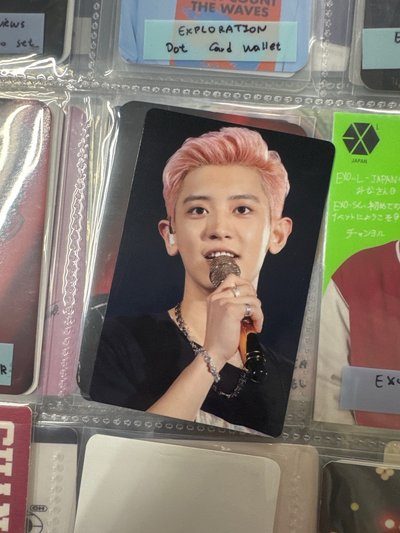 🛸EXO 五巡 🇯🇵演唱會 DVD / CD 卡 粉毛燦