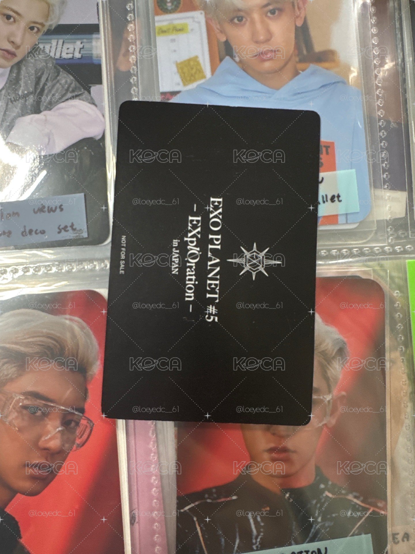 🛸EXO 五巡 🇯🇵演唱會 DVD / CD 卡 粉毛燦
