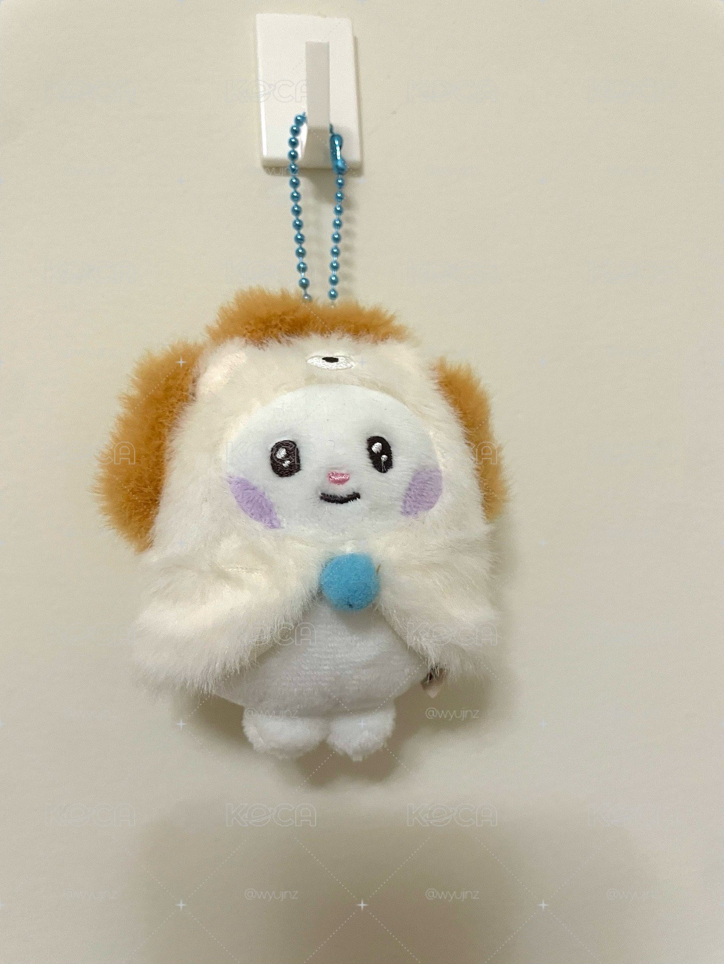 動物吊娃辰
