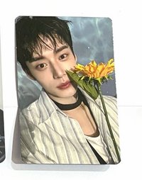 尼尼旋轉立牌卡🌻