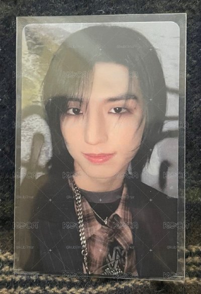 菇菇