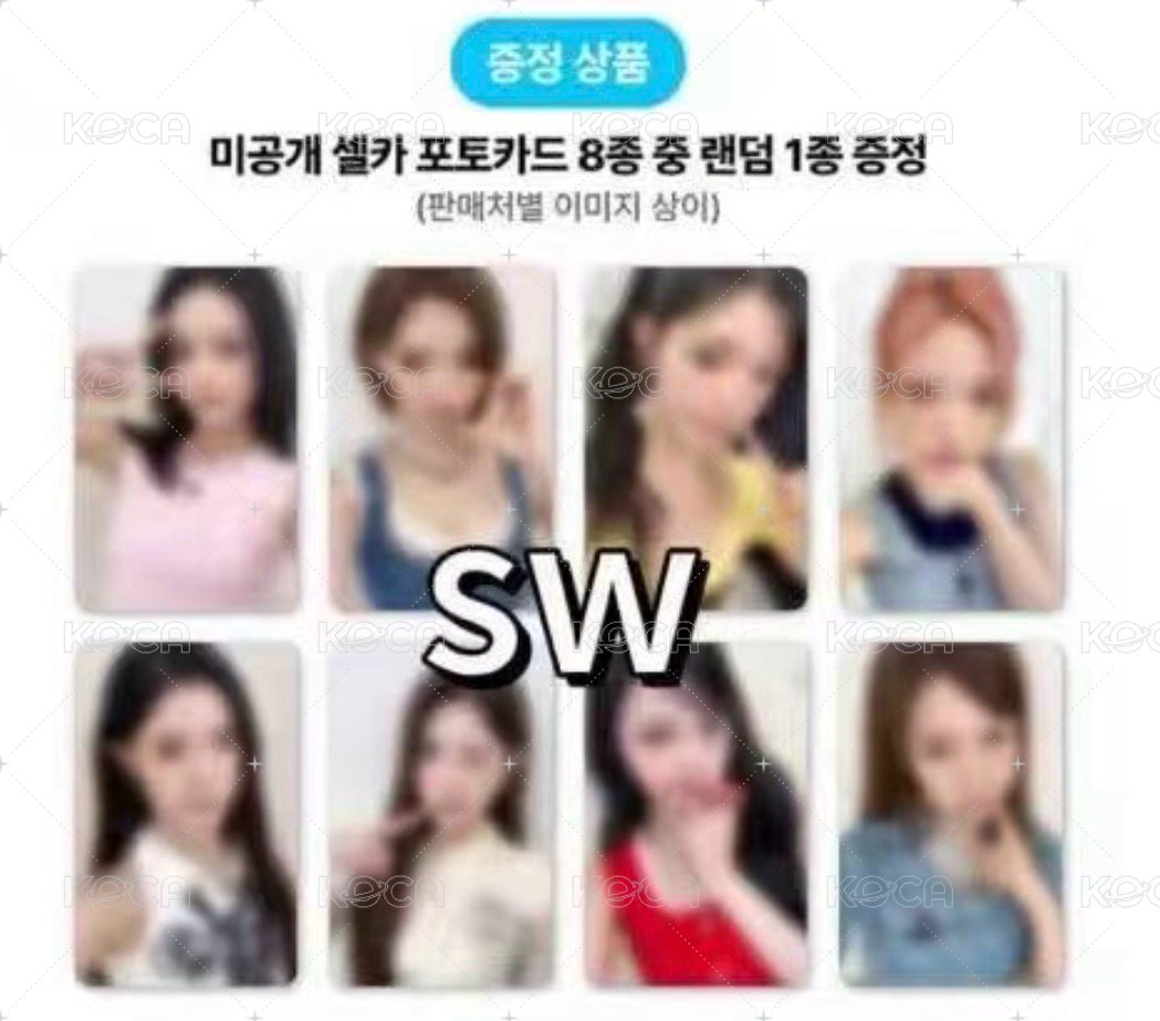 sw(備注成員）