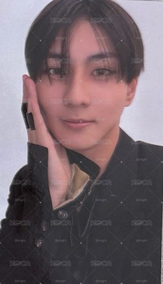 禎元迷八WVS特典卡