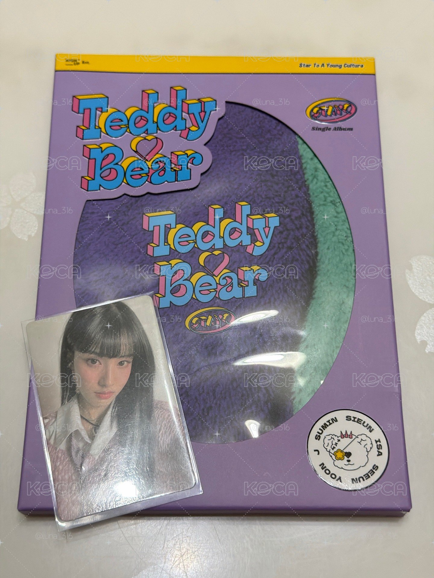 Teddy Bear全專