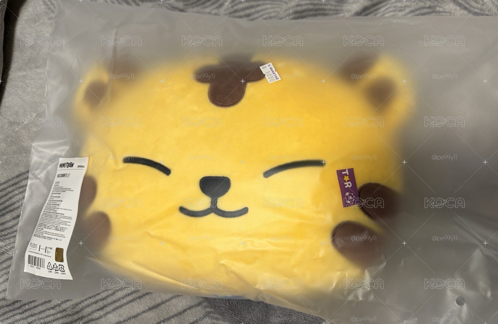 眈眈抱枕🐯