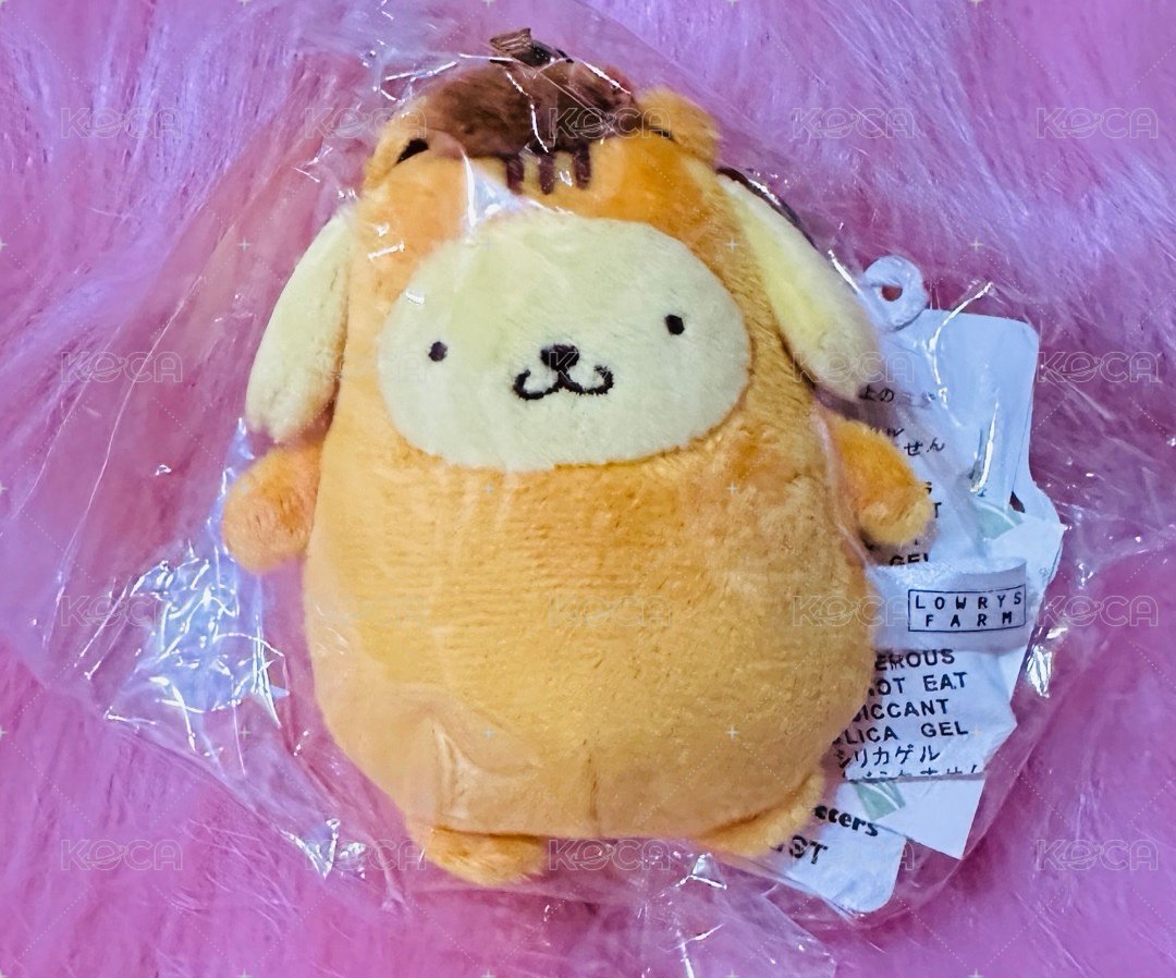 橘