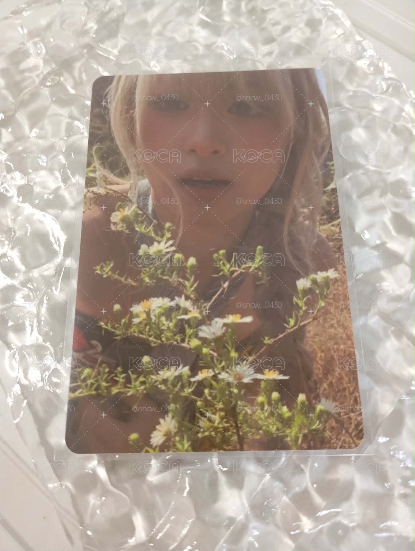 賢