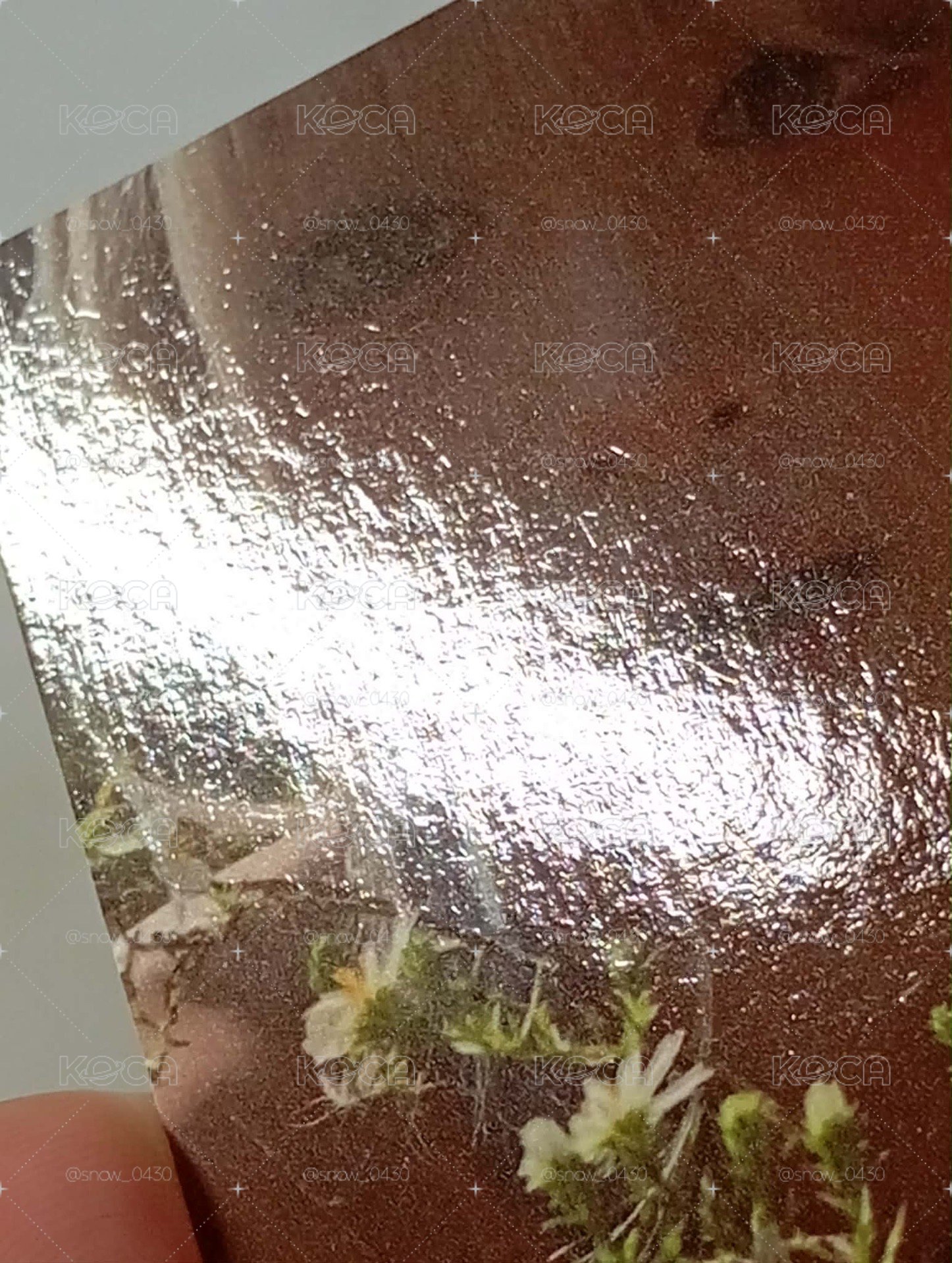 賢