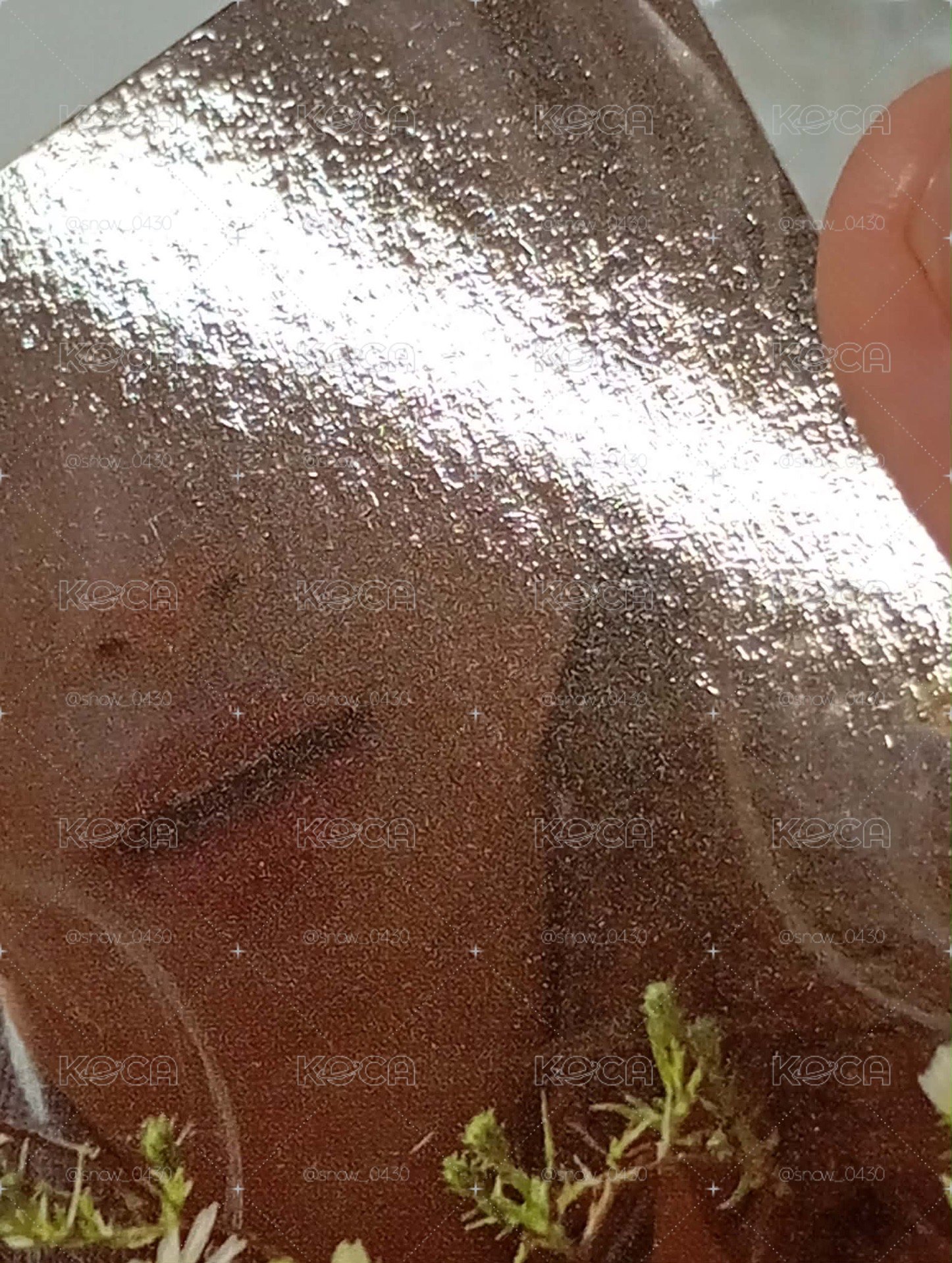 賢