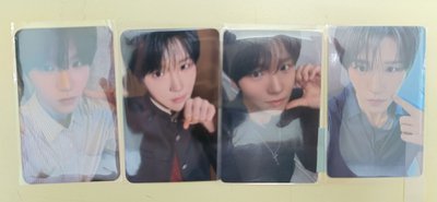 樹小盤