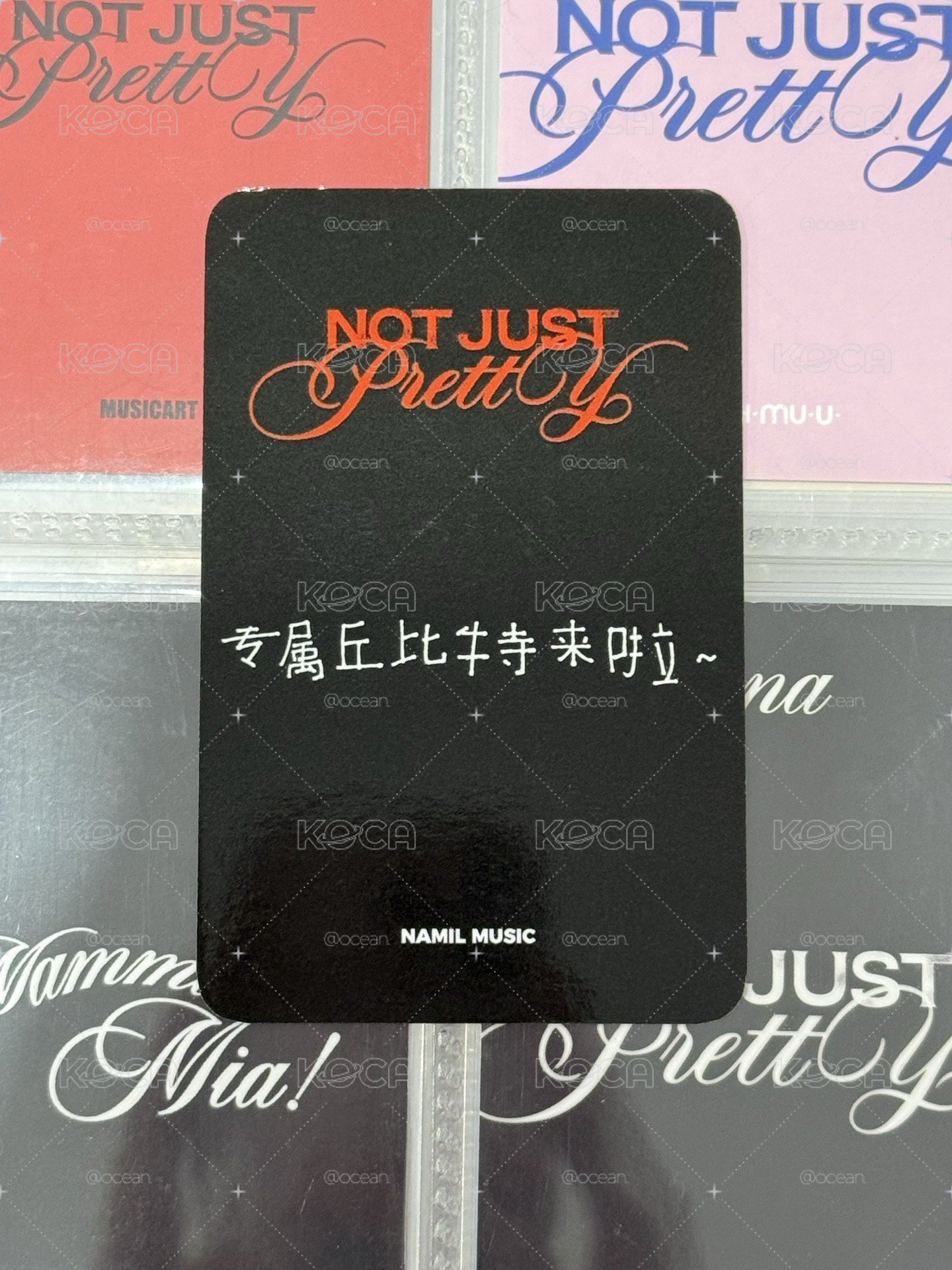 迷二預售楠藝中背狗耳愛