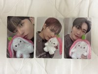草莓兔兔🍓🐰