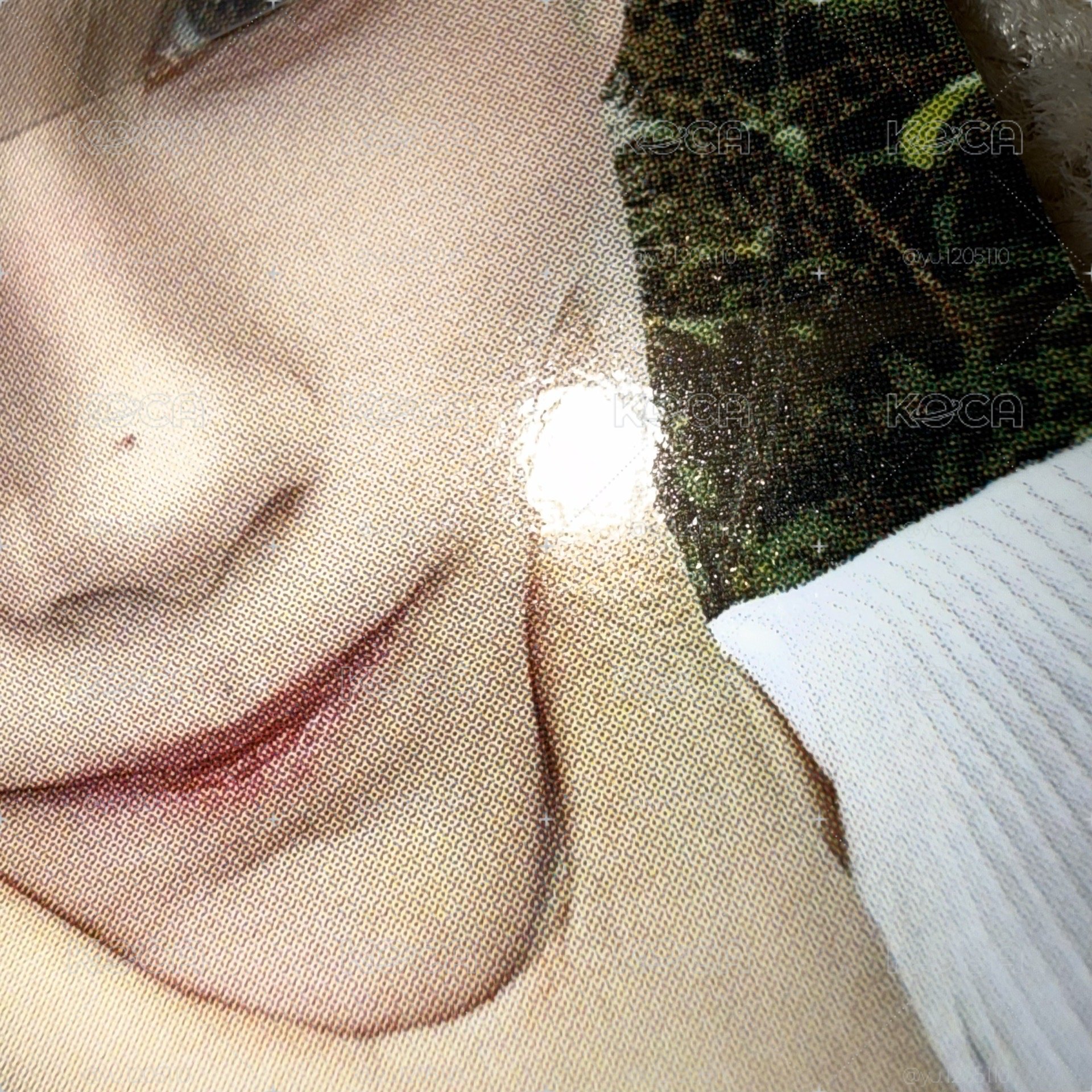 銀白髮少年寧˖ ࣪⊹含日巡拍立得 四張不拆售