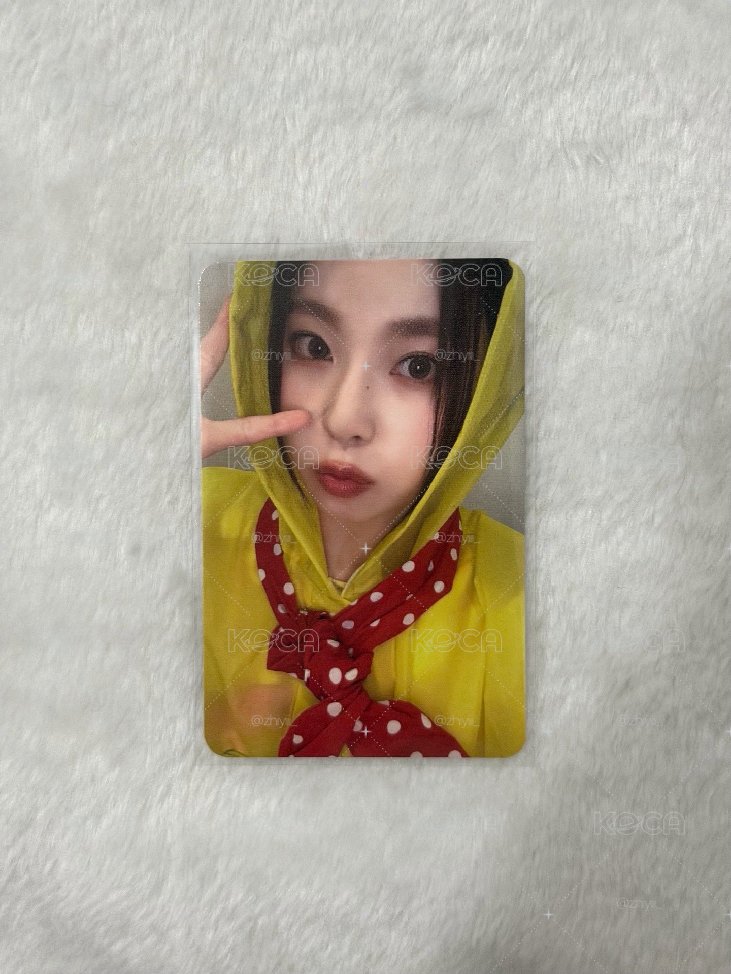 ms雨衣圭