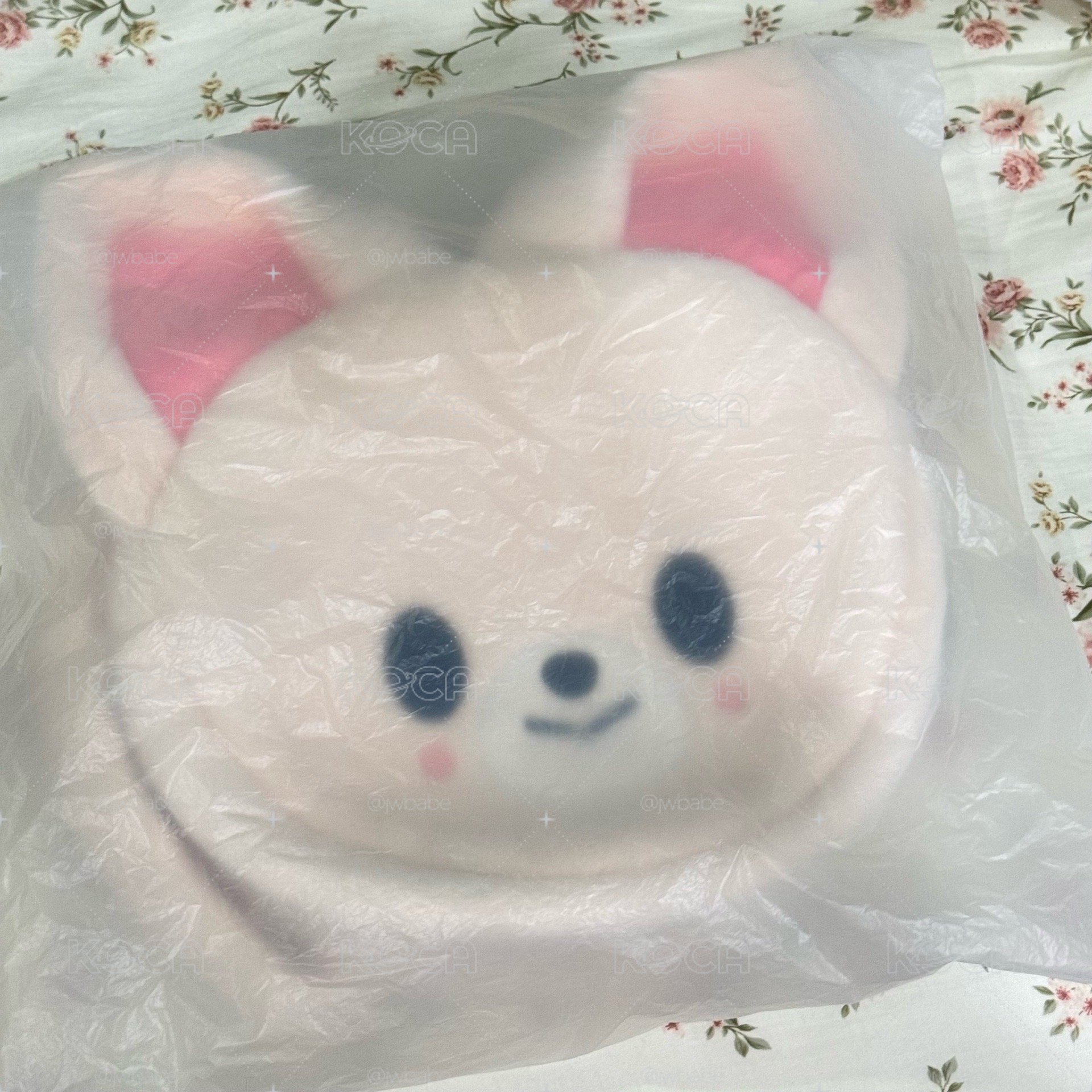 寅側背包