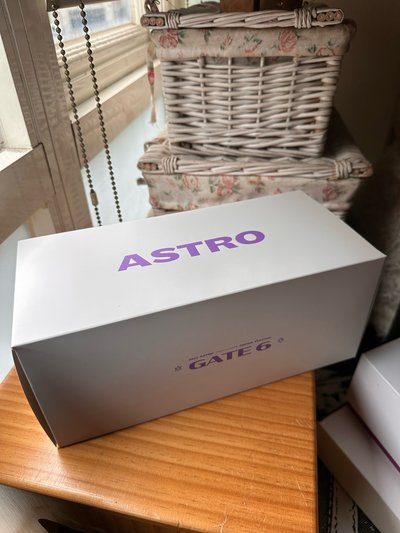ASTRO GATE6手燈包