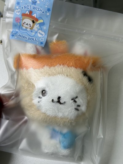 餘量 wish doll奶茶貓二販 未拆 現貨