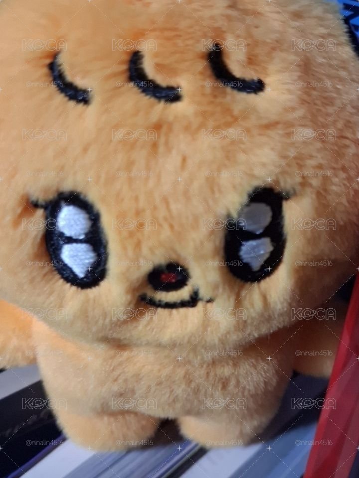 文創包裝加購區