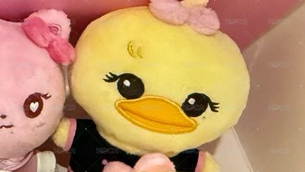 Lisa黑衣娃