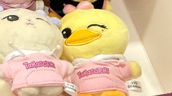 Lisa  粉衣娃