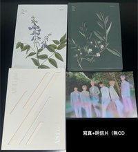 白版