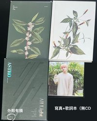 綠版