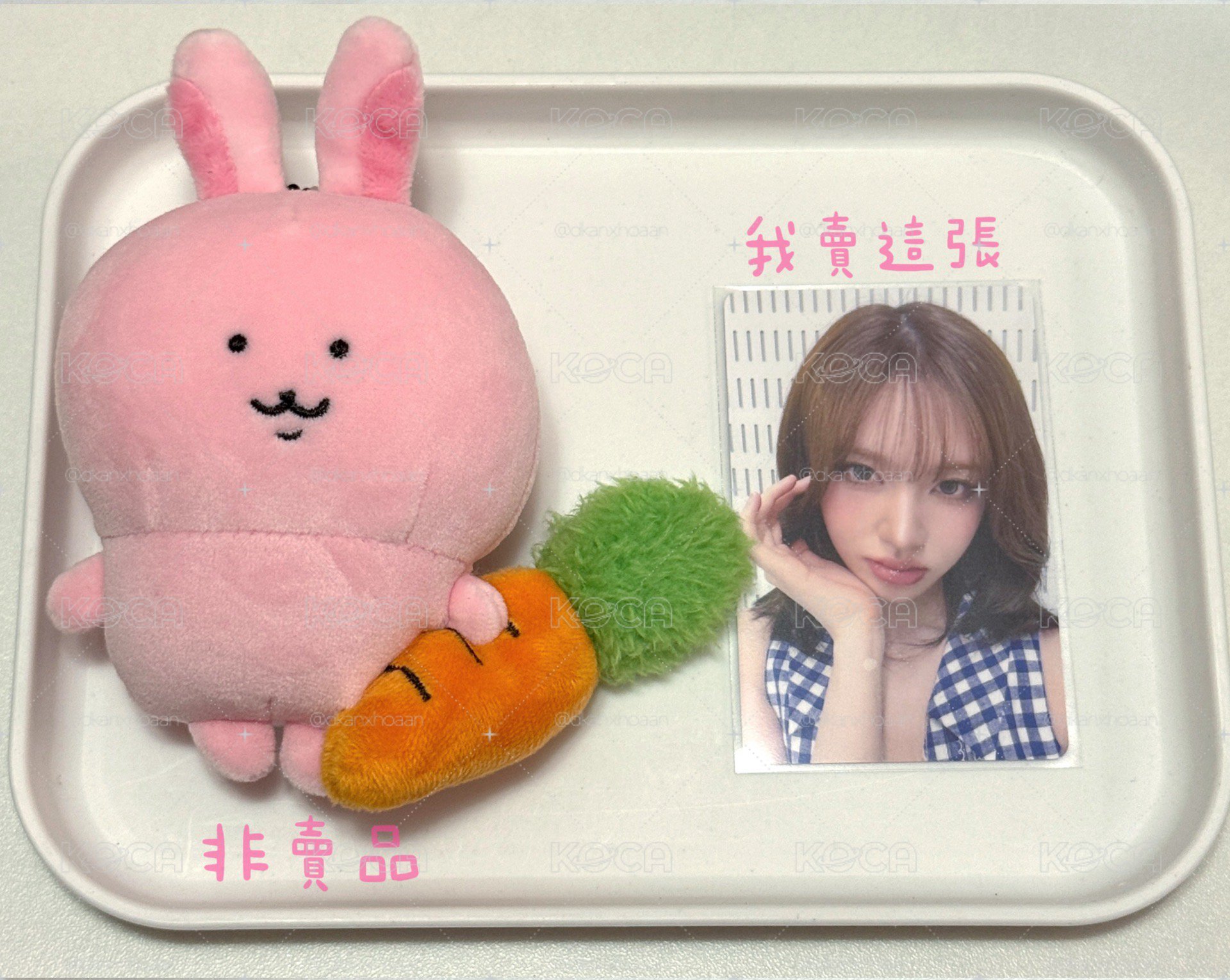 栗（有廠損p2)