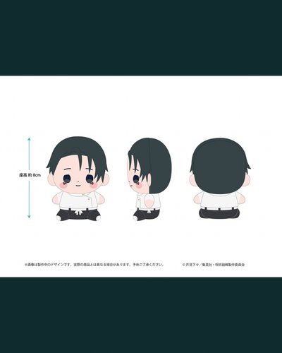 Search image