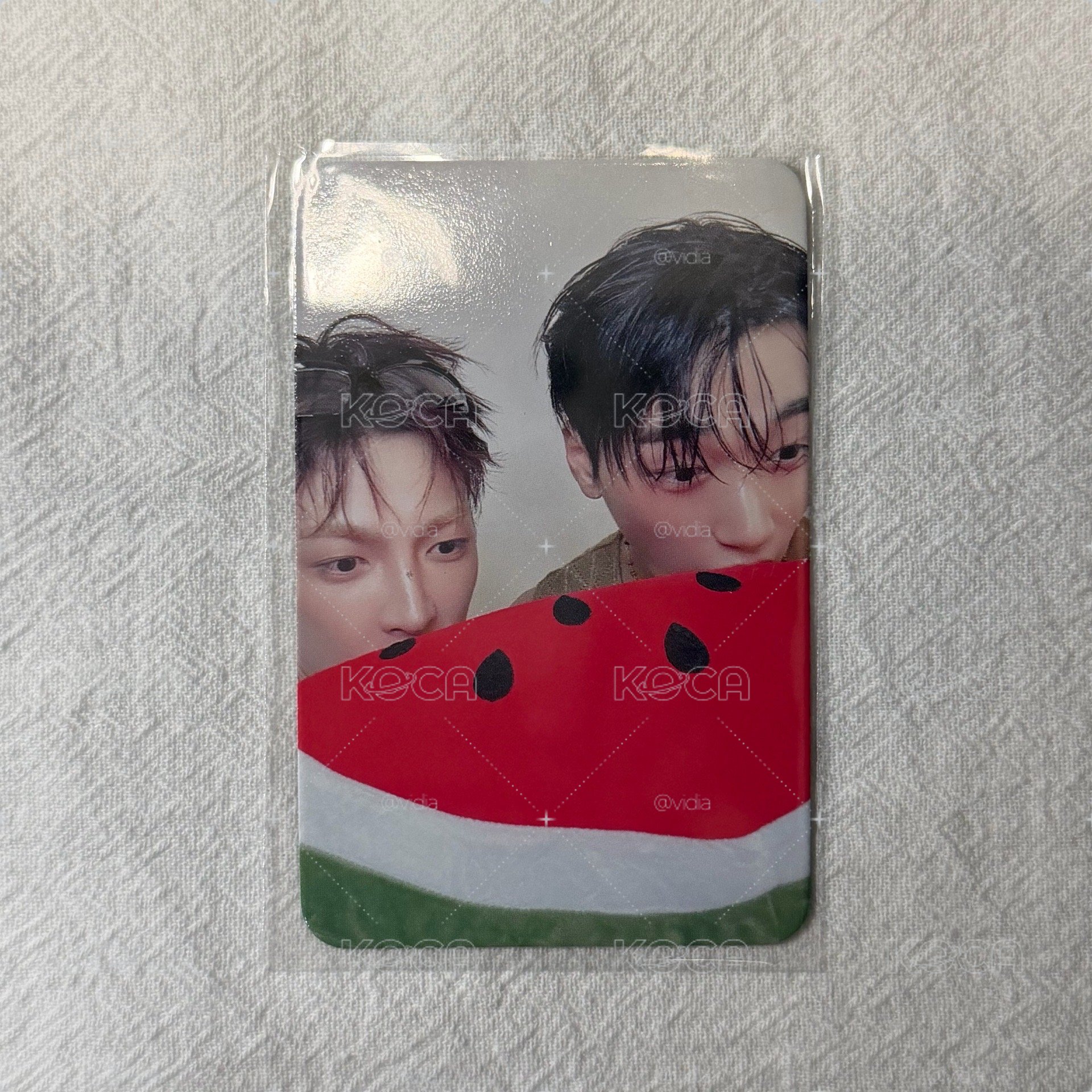 萌萌小鼠 萌萌小貓