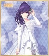 色紙 vol.53 A 簽繪板/色紙 余花二星