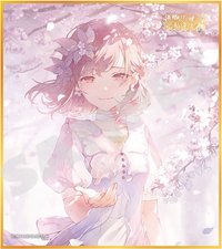 色紙 vol.53 A 色紙 余花花後