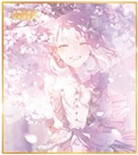 色紙 vol.53 A 色紙 余花花後