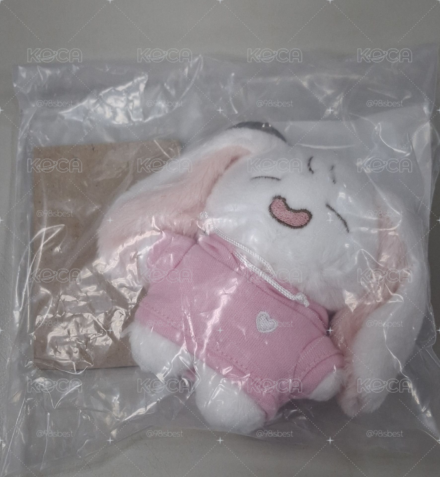 朴寶英周邊娃娃（未拆）
