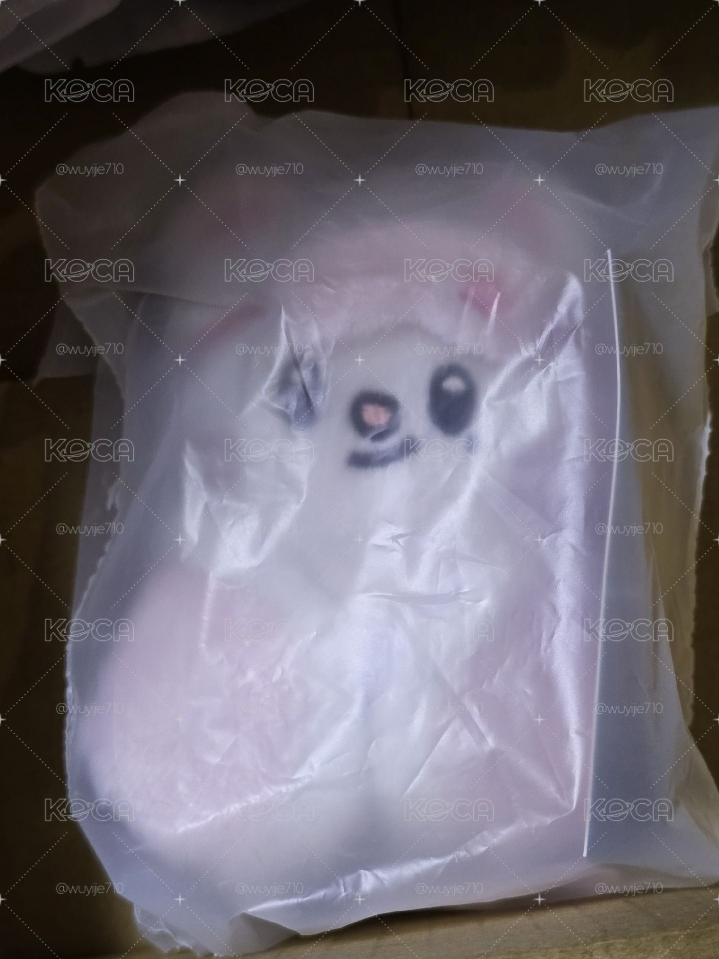 六期飯咪棉被辰娃
