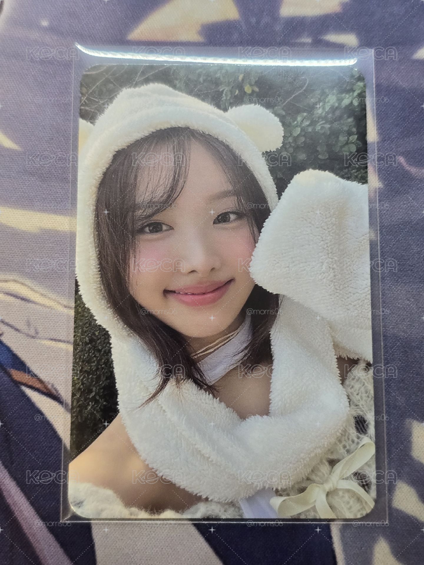 娜璉 熊帽