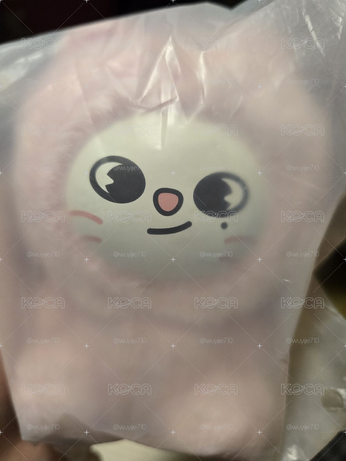 六期飯咪粉紅辰娃