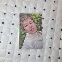 美網特典馬