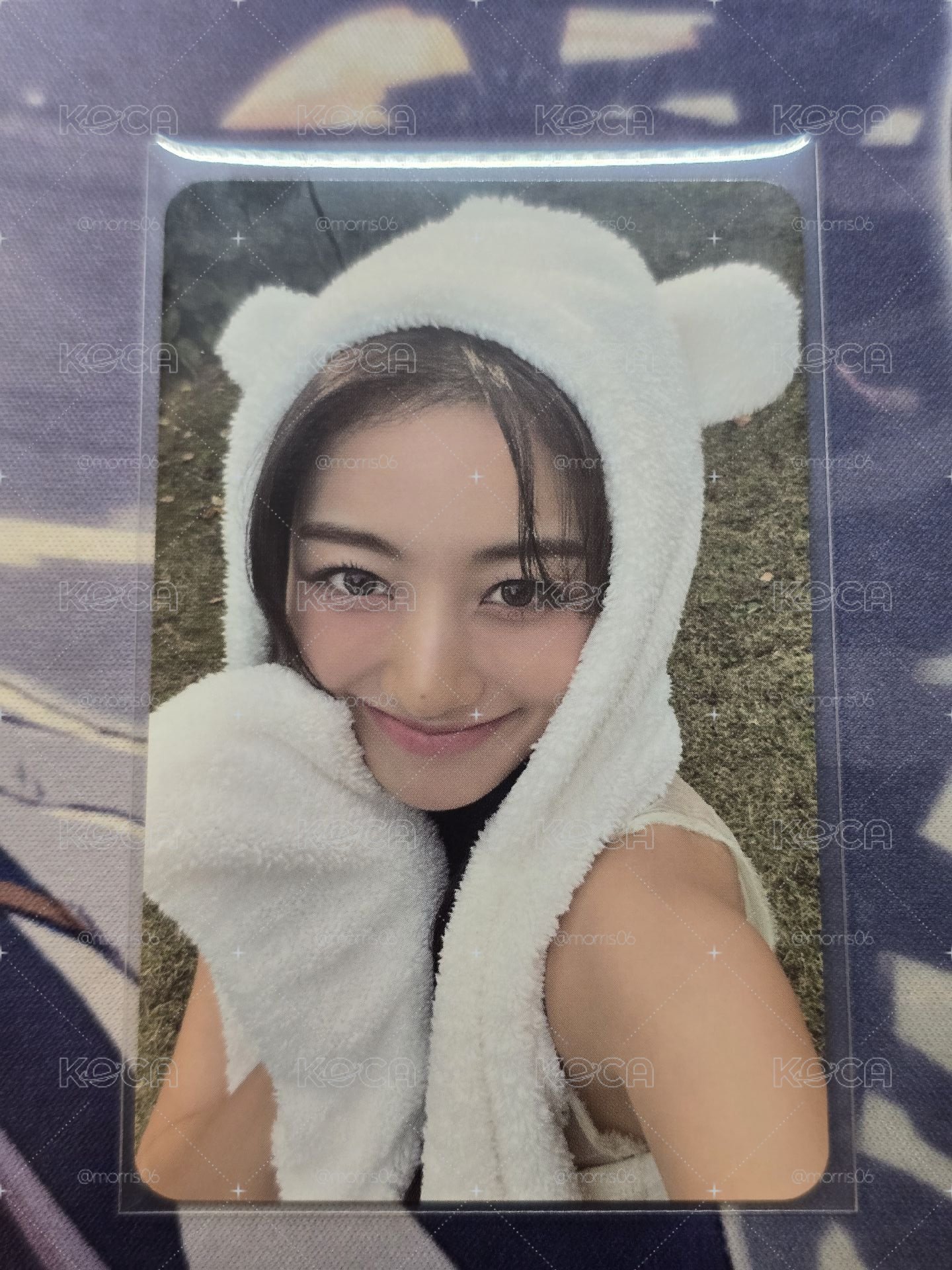 志效 熊帽