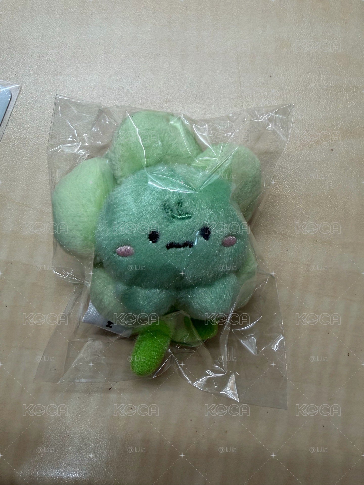 🐢花花娃