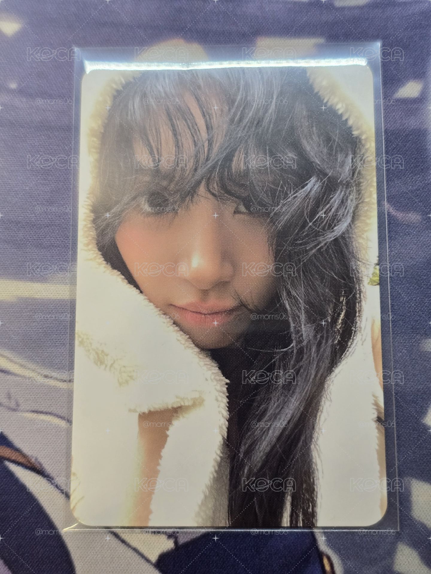 彩瑛 熊帽