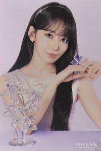 SAKURA x MOLAK 明信片 