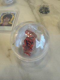 馬（含殼）