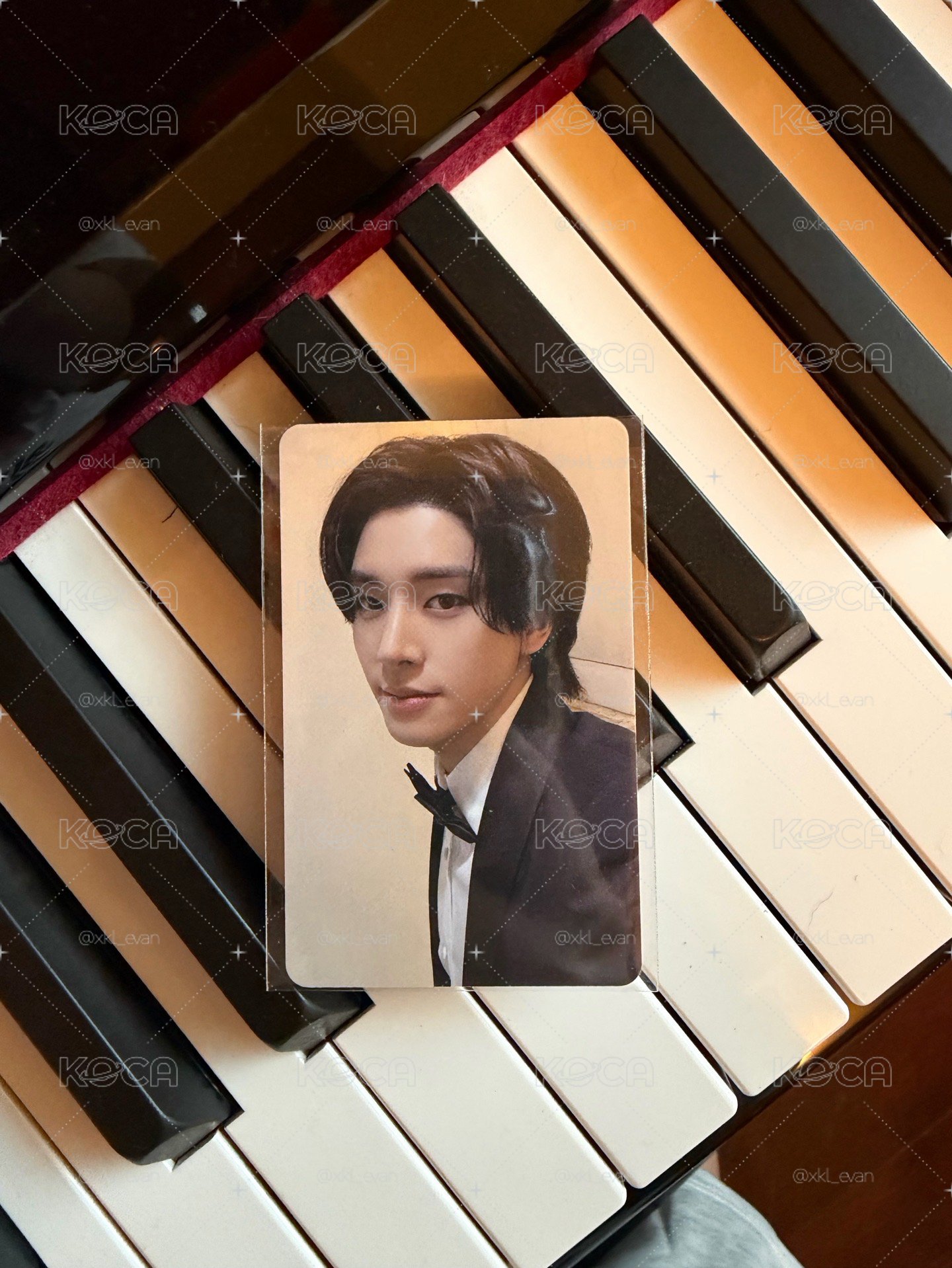 金唱片💿倫