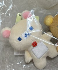 小白熊