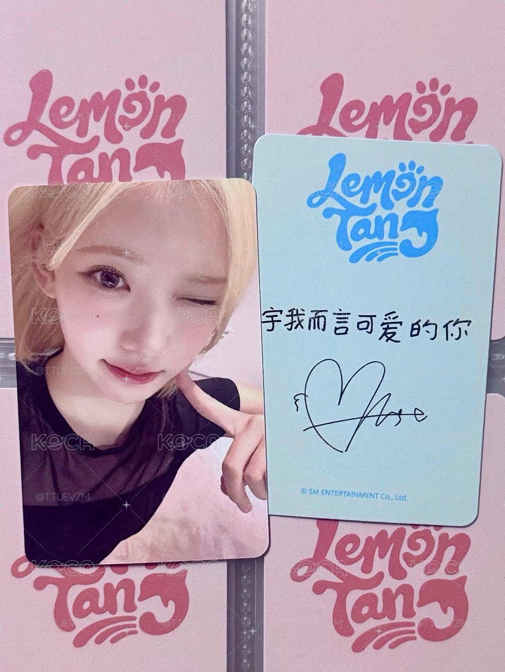 JIWOO SR1.0簽售卡 中文卡背